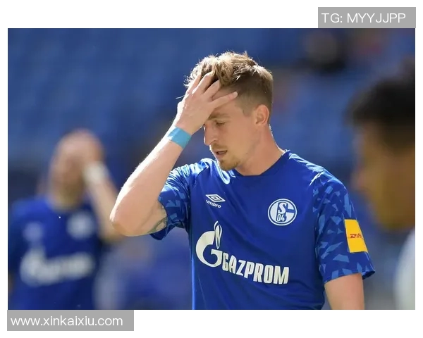 波鸿主场1-0小胜沙尔克04，豪取近期三连胜势头势不可挡